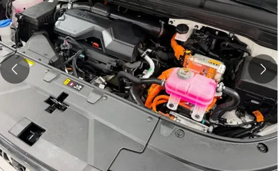 Kia Canival 2025, 32217 км, за 18240000 KRW - фото 6