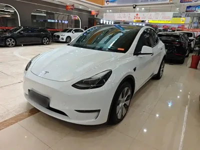 Tesla Model Y · 2021 год