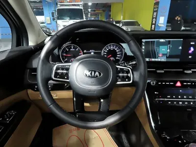 Kia Canival 2021, 98356 км, за 20500000 KRW - фото 12