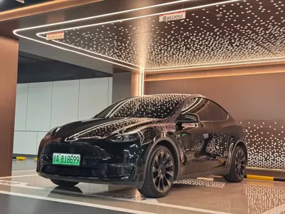 Tesla Model Y · 2022 год