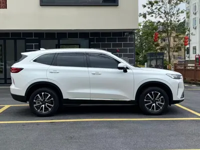 Haval H6 2025, 10000 км, за 73700 CNY - фото 10