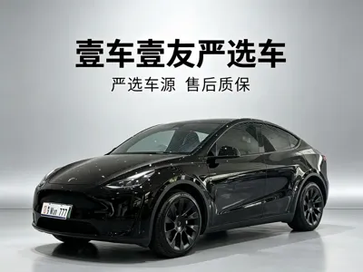 Tesla Model Y · 2023 год