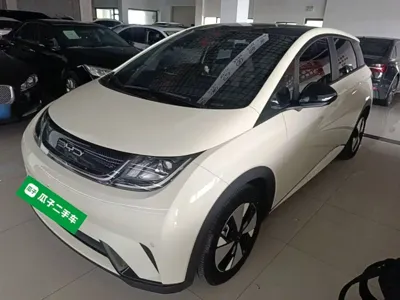 BYD Dolphin · 2023 год