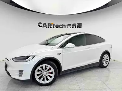 Tesla Model X · 2019 год