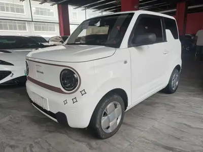 Galaxy Panda · 2024 год
