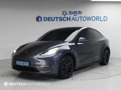 Tesla Model Y · 2022 год