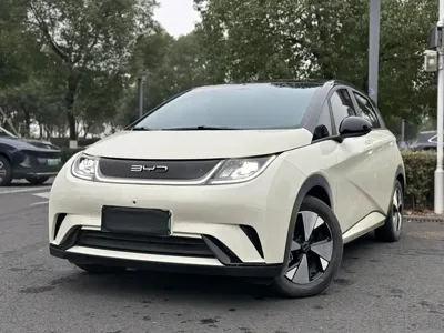 BYD Dolphin · 2023 год