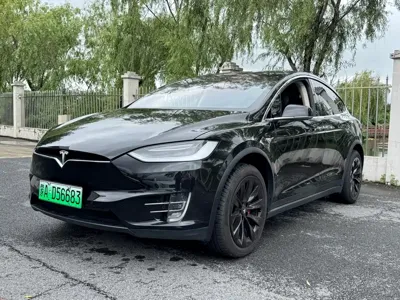 Tesla Model X · 2019 год