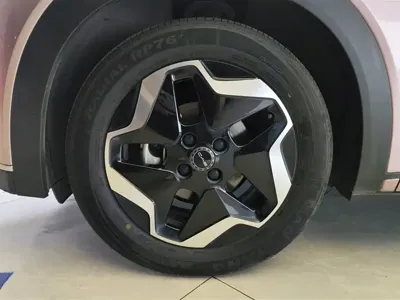 BYD Dolphin 2022, 71600 км, за 56800 CNY - фото 6