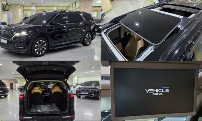 Kia Canival · 2022 год