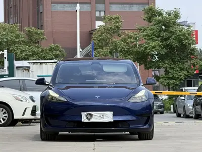 Tesla Model 3 2021, 123000 км, за 109800 CNY