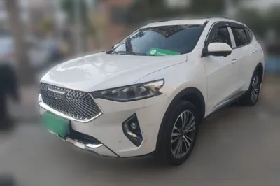Haval F7 2021, 49500 км, за 48915.01 CNY - фото 1