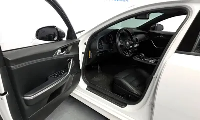 Kia Stinger 2019, 63453 км, за 18400000 KRW - фото 10