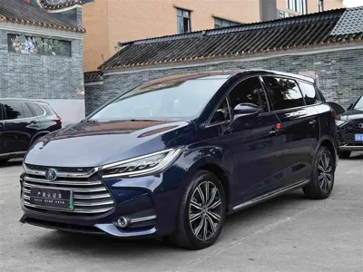 BYD MAX New Energy · 2019 год