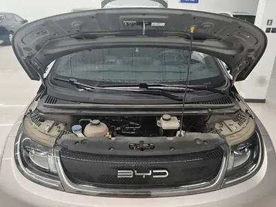 BYD Dolphin 2022, 50400 км, за 58700 CNY - фото 20