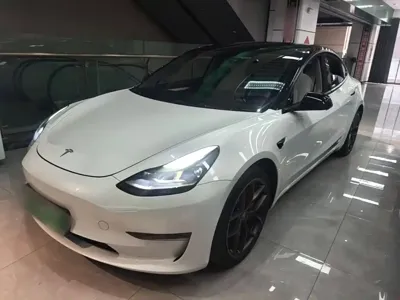 Tesla Model 3 · 2022 год