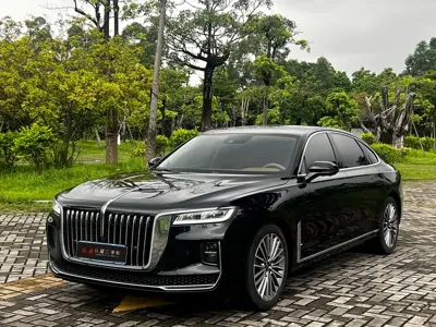 Hongqi Hongqi H9 · 2022 год