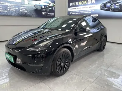 Tesla Model Y · 2021 год