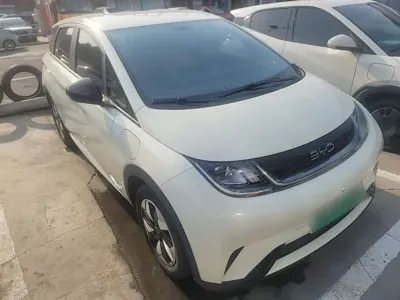 BYD Dolphin 2024, 13500 км, за 65400 CNY - фото 22