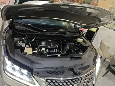 Lexus RX 2021, 109900 км, за 218500 CNY - фото 20