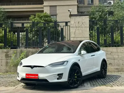 Tesla Model X · 2017 год