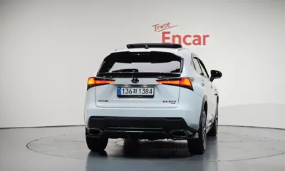 Lexus NX 2020, 29819 км, за 48500000 KRW - фото 4