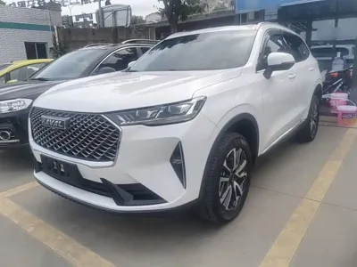 Haval H6 · 2024 год
