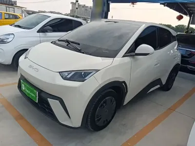 BYD Seagull · 2024 год