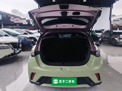 BYD Dolphin 2023, 36700 км, за 59500 CNY - фото 19