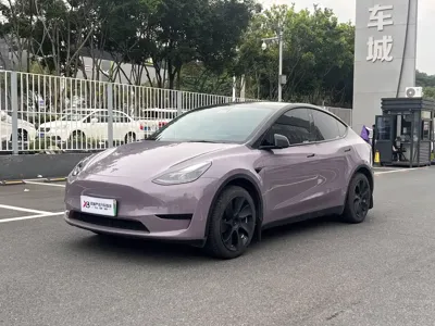Tesla Model Y · 2022 год