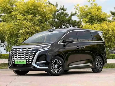 Denza Denza D9 · 2025 год