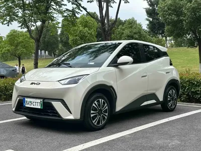 BYD Seagull · 2024 год