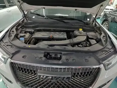 Haval H6 2021, 69000 км, за 46700 CNY - фото 20