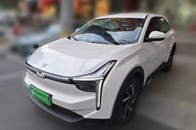 NETA U · 2021 год
