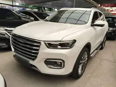 Haval H6 · 2020 год