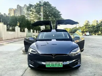 Tesla Model X 2020, 60000 км, за 216600 CNY