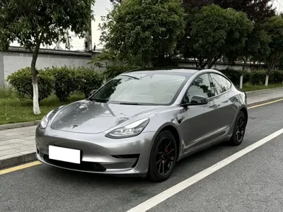 Tesla Model 3 · 2023 год