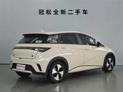 BYD Dolphin 2023, 68500 км, за 58800 CNY - фото 4