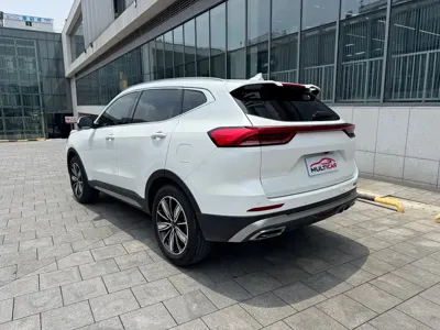 Haval H6 2023, 27000 км, за 95800 CNY - фото 9