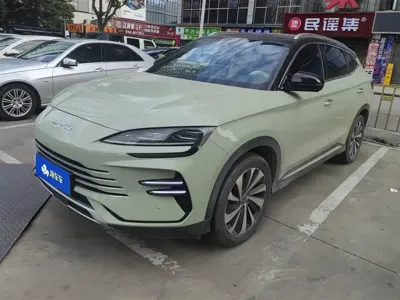 BYD PLUS New Energy · 2023 год