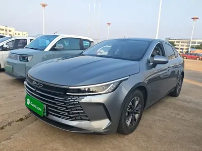 BYD Destroyer 05 · 2024 год