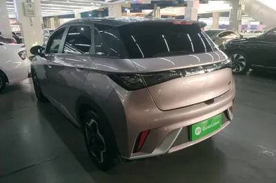 BYD Dolphin 2021, 87500 км, за 60440.74 CNY