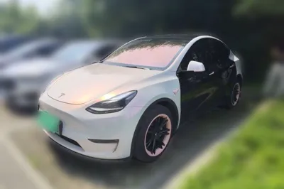 Tesla Model Y · 2023 год