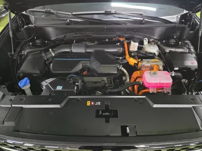 Hyundai Santafe 2024, 22786 км, за 38500000 KRW - фото 6