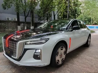 Hongqi Hongqi H5 · 2024 год
