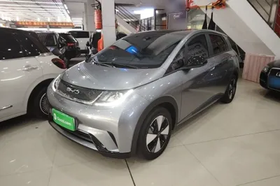 BYD Dolphin · 2023 год