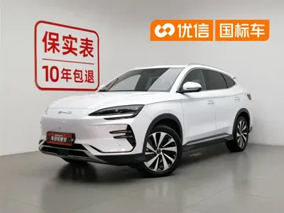 BYD PLUS New Energy · 2024 год