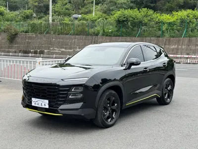 Jetour Dasheng · 2025 год