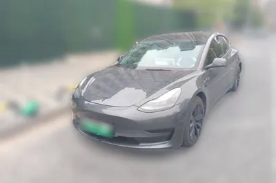 Tesla Model 3 · 2021 год