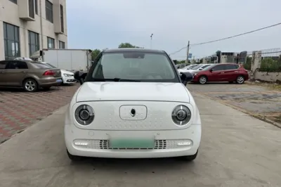 ORA Black Cat 2019, 42100 км, за 50278.47 CNY